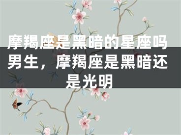 摩羯座是黑暗的星座吗男生，摩羯座是黑暗还是光明