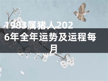 1983属猪人2026年全年运势及运程每月