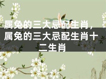 属兔的三大忌配生肖，属兔的三大忌配生肖十二生肖