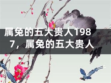 属兔的五大贵人1987，属兔的五大贵人
