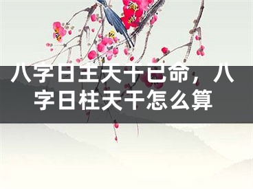 八字日主天干已命,八字日柱天干怎么算