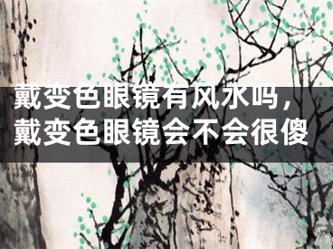 戴变色眼镜有风水吗，戴变色眼镜会不会很傻