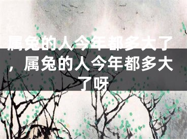 属兔的人今年都多大了，属兔的人今年都多大了呀