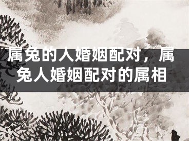 属兔的人婚姻配对，属兔人婚姻配对的属相