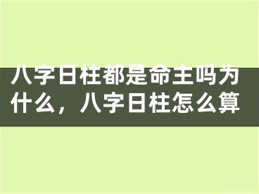 八字日柱都是命主吗为什么,八字日柱怎么算