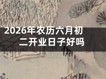 2026年农历六月初二开业日子好吗
