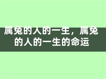 属兔的人的一生，属兔的人的一生的命运