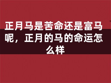 正月马是苦命还是富马呢,正月的马的命运怎么样