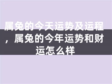 属兔的今天运势及运程,属兔的今年运势和财运怎么样
