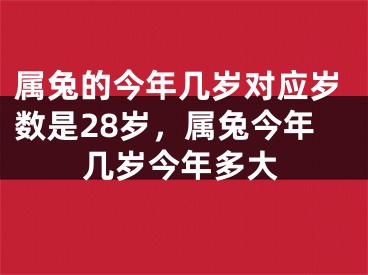 属兔的今年几岁对应岁数是28岁，属兔今年几岁今年多大