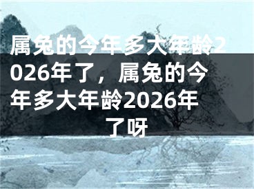 属兔的今年多大年龄2026年了，属兔的今年多大年龄2026年了呀