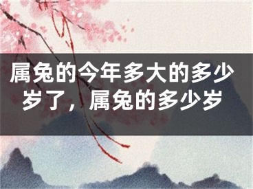 属兔的今年多大的多少岁了，属兔的多少岁