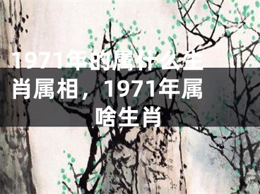 1971年的属什么生肖属相，1971年属啥生肖