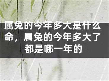 属兔的今年多大是什么命,属兔的今年多大了都是哪一年的
