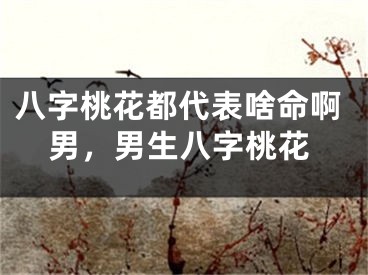 八字桃花都代表啥命啊男，男生八字桃花