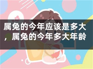 属兔的今年应该是多大，属兔的今年多大年龄
