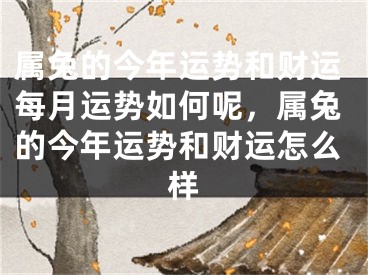 属兔的今年运势和财运每月运势如何呢，属兔的今年运势和财运怎么样
