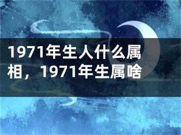 1971年生人什么属相,1971年生属啥