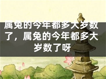 属兔的今年都多大岁数了，属兔的今年都多大岁数了呀