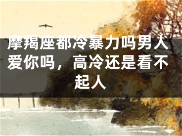 摩羯座都冷暴力吗男人爱你吗，高冷还是看不起人
