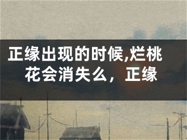 正缘出现的时候,烂桃花会消失么，正缘