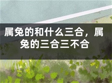 属兔的和什么三合,属兔的三合三不合