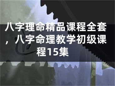 八字理命精品课程全套，八字命理教学初级课程15集