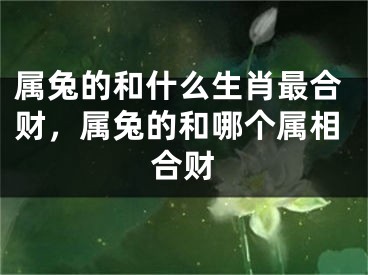 属兔的和什么生肖最合财，属兔的和哪个属相合财