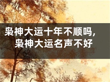 枭神大运十年不顺吗,枭神大运名声不好