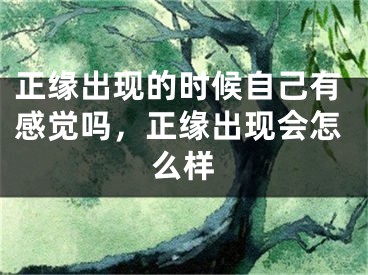 正缘出现的时候自己有感觉吗，正缘出现会怎么样