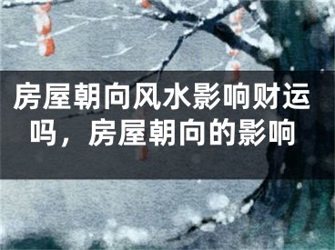 房屋朝向风水影响财运吗，房屋朝向的影响