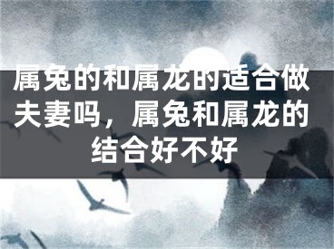 属兔的和属龙的适合做夫妻吗，属兔和属龙的结合好不好