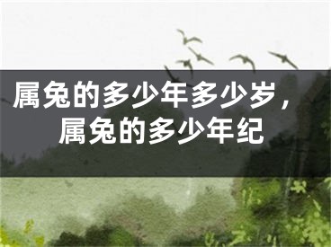 属兔的多少年多少岁，属兔的多少年纪