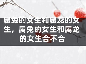 属兔的女生和属龙的女生，属兔的女生和属龙的女生合不合