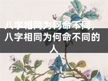 八字相同为何命不同，八字相同为何命不同的人