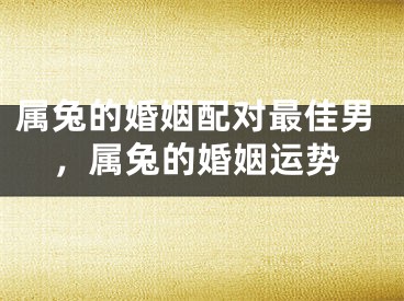 属兔的婚姻配对最佳男，属兔的婚姻运势