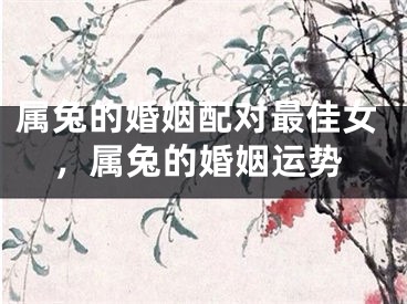 属兔的婚姻配对最佳女，属兔的婚姻运势