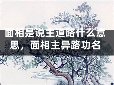 面相是说主道路什么意思，面相主异路功名
