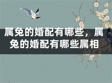 属兔的婚配有哪些,属兔的婚配有哪些属相