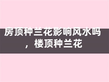 房顶种兰花影响风水吗，楼顶种兰花