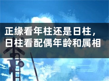 正缘看年柱还是日柱，日柱看配偶年龄和属相