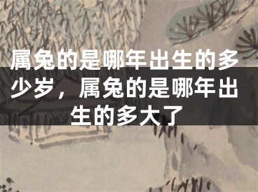 属兔的是哪年出生的多少岁，属兔的是哪年出生的多大了