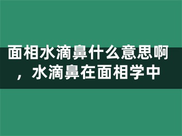 面相水滴鼻什么意思啊,水滴鼻在面相学中