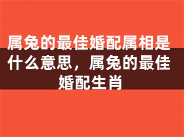 属兔的最佳婚配属相是什么意思，属兔的最佳婚配生肖