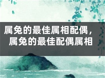 属兔的最佳属相配偶，属兔的最佳配偶属相