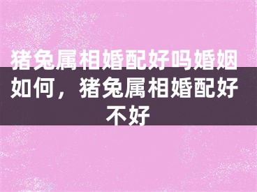 猪兔属相婚配好吗婚姻如何，猪兔属相婚配好不好