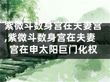 紫微斗数身宫在夫妻宫,紫微斗数身宫在夫妻宫在申太阳巨门化权