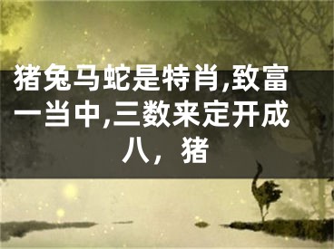 猪兔马蛇是特肖,致富一当中,三数来定开成八，猪