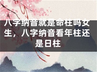 八字纳音就是命柱吗女生，八字纳音看年柱还是日柱