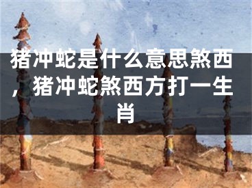 猪冲蛇是什么意思煞西，猪冲蛇煞西方打一生肖